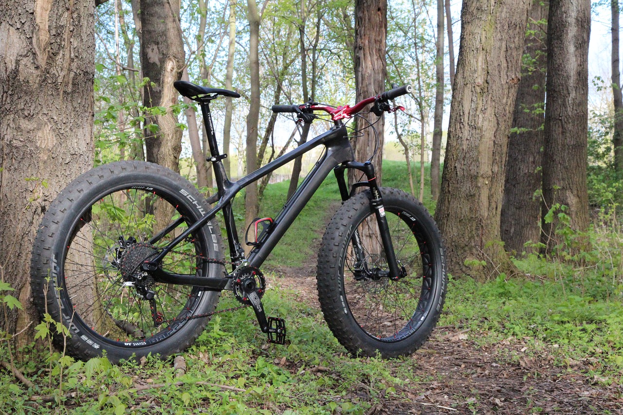 fatbike, fatbikes, bicycle tires